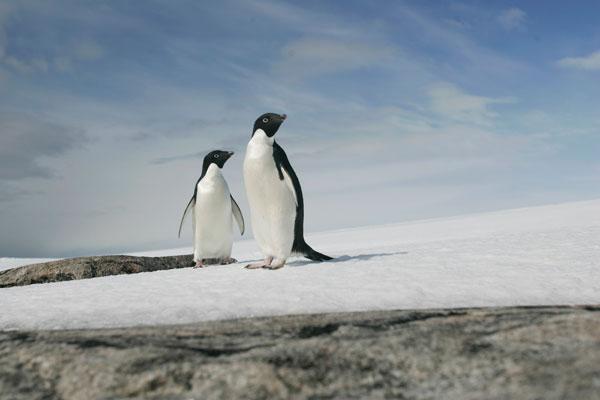 ABD ve Rusya anlaştı, Antarktikanın kaderini değişiyor