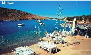 Bodrum mu, Alaçatı mı