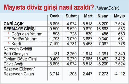Mayısta döviz girişi durdu