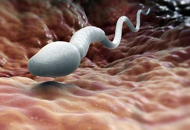 Erkek kısırlığı ile savaşan besinler