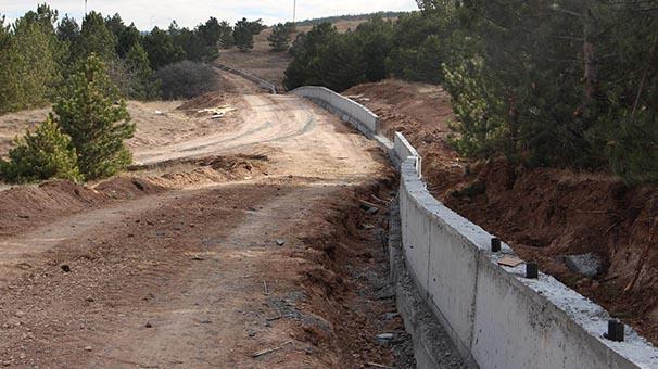 Üniversiteye domuz girmesin diye  duvarla çevriliyor