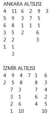 Temelhana uygun grup