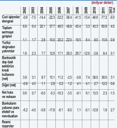 Tek sorun cari açık