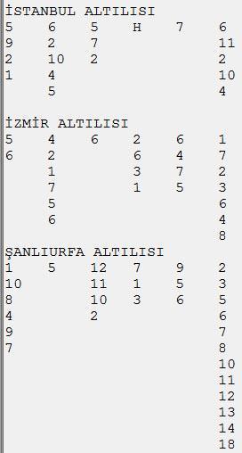 İstanbulda Şahinter