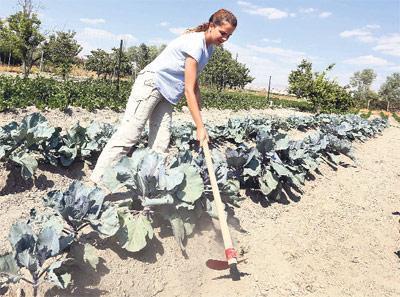 Şöhret, giymesini bilmezsen ateşten bir gömlek gibi yakar