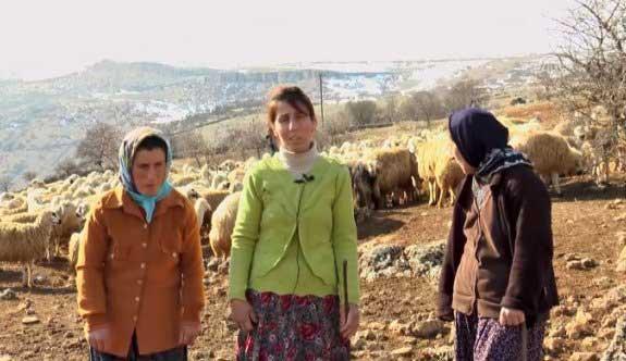 Baskılara rağmen yılmadı Sürüsünün başında...