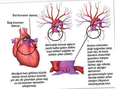 Yeşil sahada trajedi