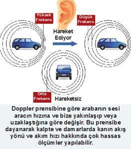 Kalbi görmenin yolu: Ultrason