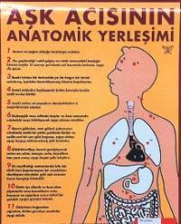 Aşk acısının anatomisi