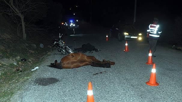 Motosiklet at ile sahibine çarptı: 1 ölü, 2 yaralı