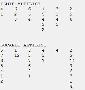 Zayıf programlar