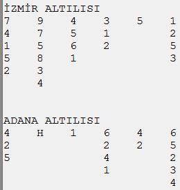 Dizdar Bey