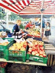 Ece Aksoy’la adım adım Türkiye pazarları