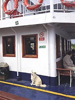 Bozcaadalı Pakize