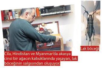 Antika radyolar lak böceğiyle  canlanıyor