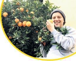YEŞİL DENİZİN YENGELERİ