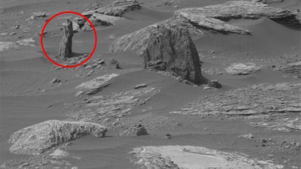 Mars’ta orman kalıntıları mı var Dünya bu görüntüyü konuşuyor...