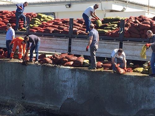 İzmirde 24 ton kaçak midyeye el konuldu