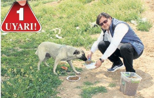 Efeoğlu’na giriş  ücretsiz olsun