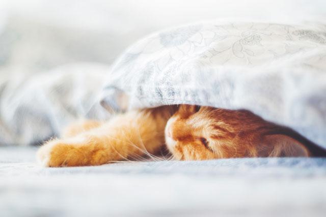 Halsizlik veya depresyon