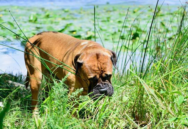 Tuvalet alışkanlıklarında değişiklikler