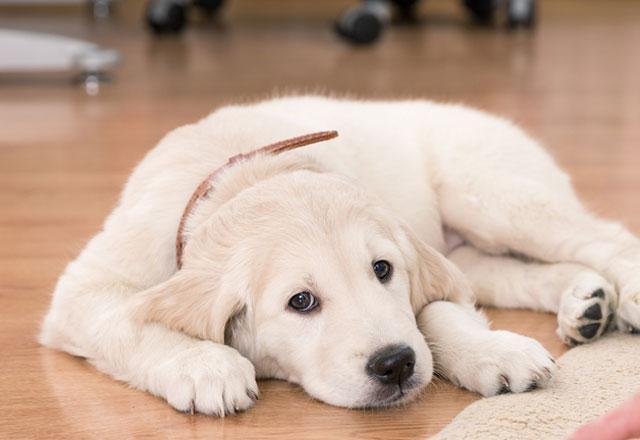 Vücudunda ağrı belirtileri