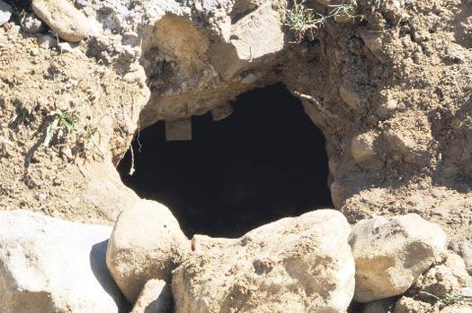 Çatal kaşıkla tünel kazdılar