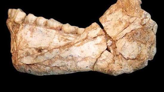 İlk insan tahmin edilenden 100 bin yıl önce bakın nerede bulundu