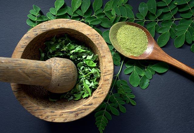 Moringa çayı nedir, moringa çayı nasıl kullanılır