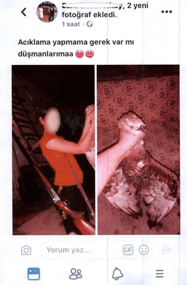 Kızıl şahini öldürüp sosyal medyadan paylaştı