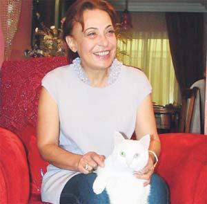Kedi istiyorum