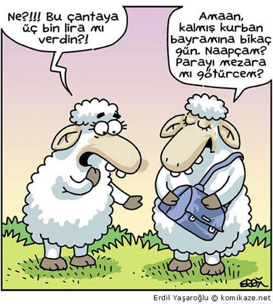 En komik Erdil Yaşaroğlu karikatürleri