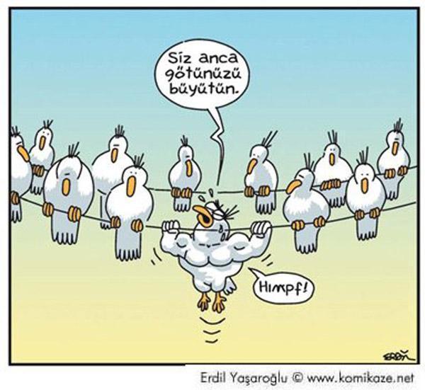 En komik Erdil Yaşaroğlu karikatürleri