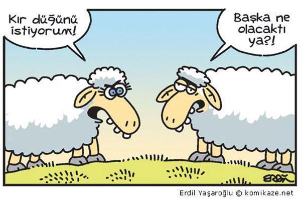 En komik Erdil Yaşaroğlu karikatürleri