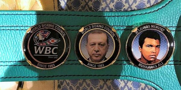 Dünya Boks Konseyinden Cumhurbaşkanı Erdoğana barış ödülü