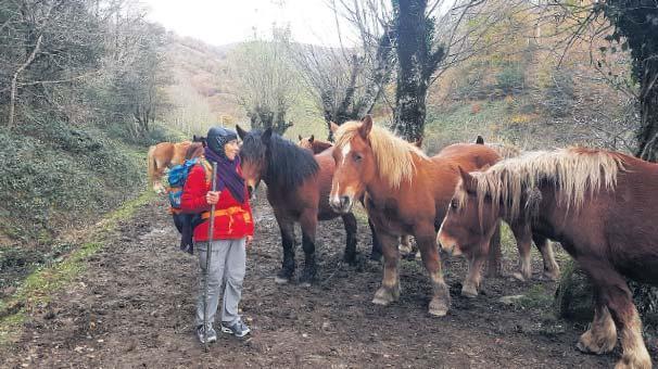 800 kilometrelik yolun ‘Mama Rosa’sı oldu