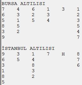 Bursada Sumel Han