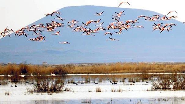 ‘Hidrolojik kuraklık kapıya dayandı’