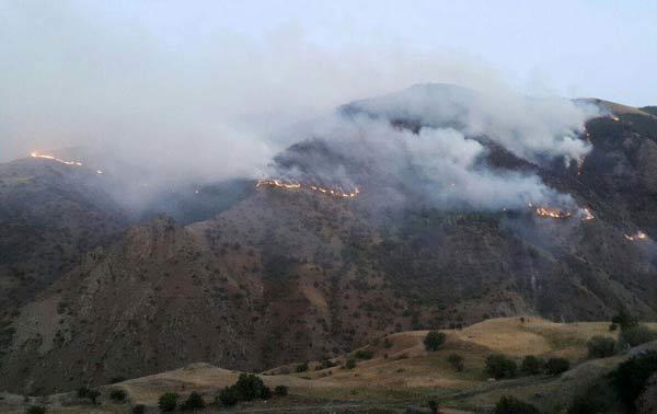 Erzurumdaki orman yangını