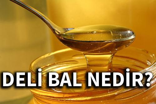 Sinopta deli baldan 3 kişi zehirlendi