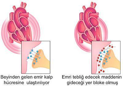 Yüksek tansiyonla baş edemiyoruz