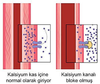 Yüksek tansiyonla baş edemiyoruz