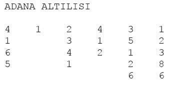 Tek Deli Çire
