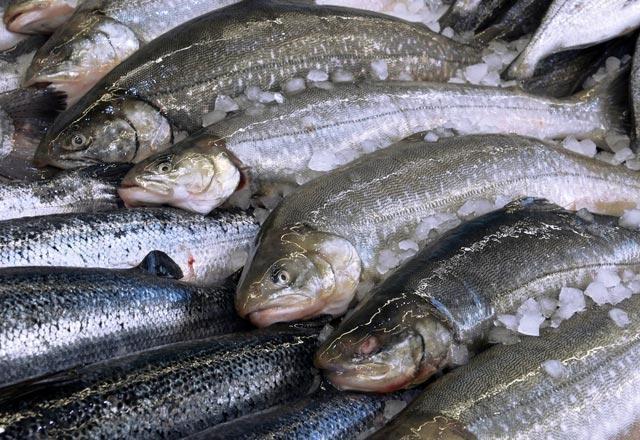 Somon tek başına D vitamini kaynağı