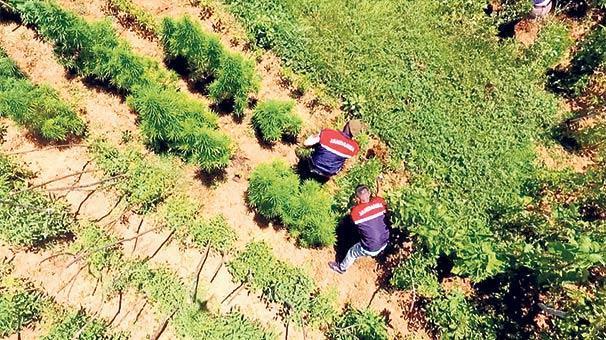 5 milyon TL’lik uyuşturucu baskını