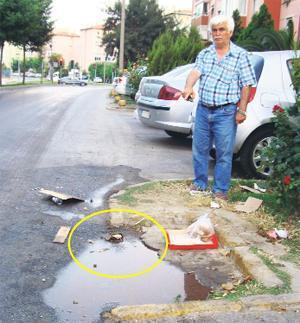 Belediye kaldırımı  yeşil alan yaptı