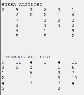 İki güzel program