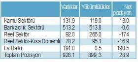 Türkiye’nin net döviz durumu