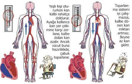 Yaşlılarda düşme çok tehlikeli