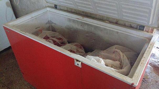 Aydında 5 ton kaçak domuz eti imha edildi
